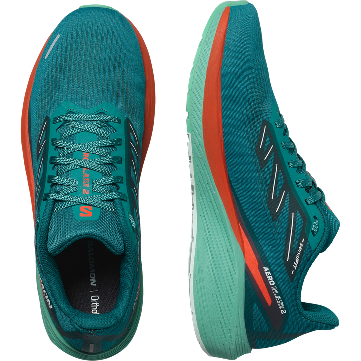 L47572400_10_GHO_AEROBLAZE2DeepLake_CherryTomato_ElectricGreen