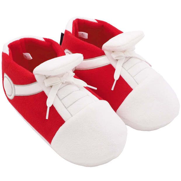 2423509299993_1