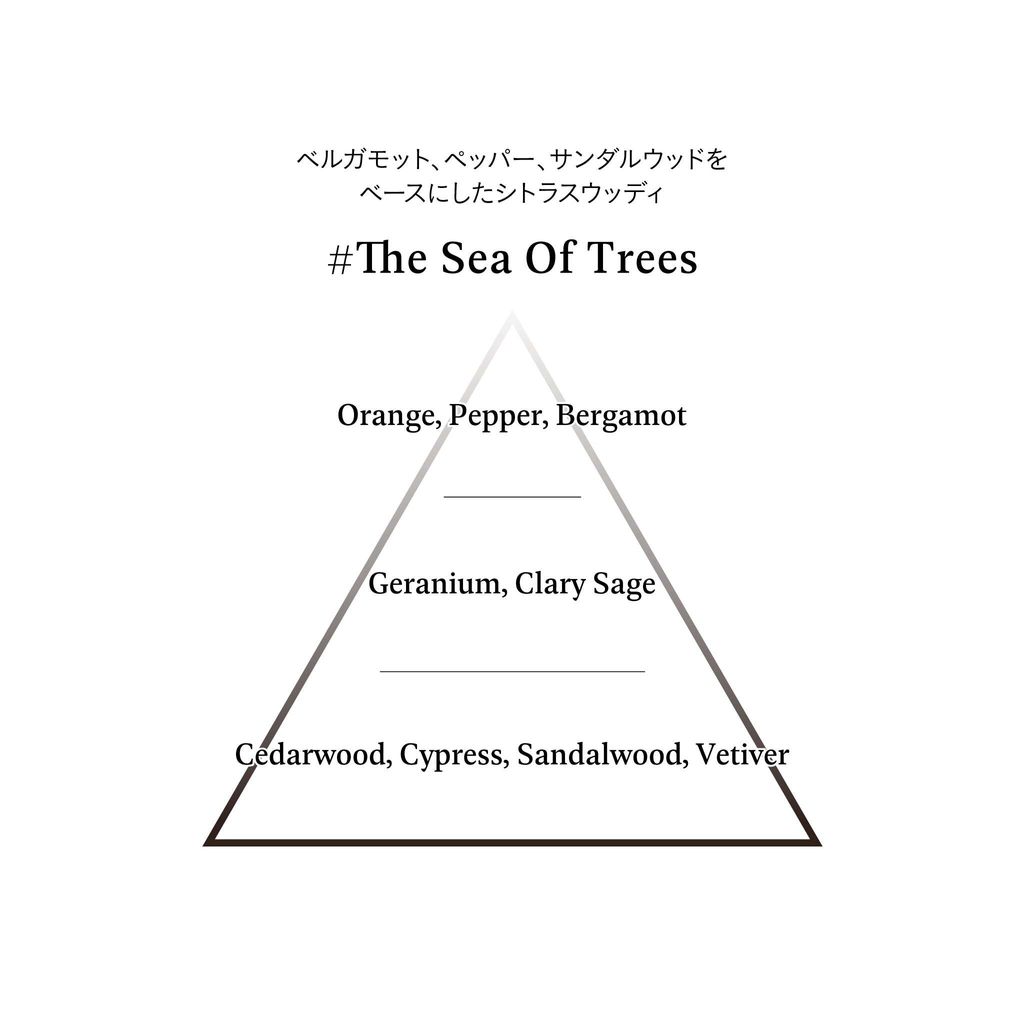 fragranceNOTE_TheSeaOfTrees_20240116