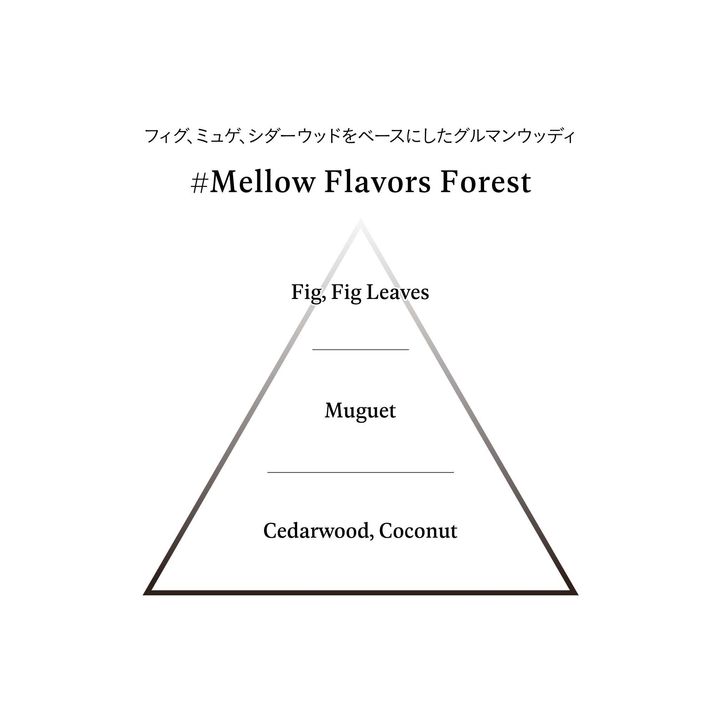 fragranceNOTE_MellowFlavorsForest_20240116