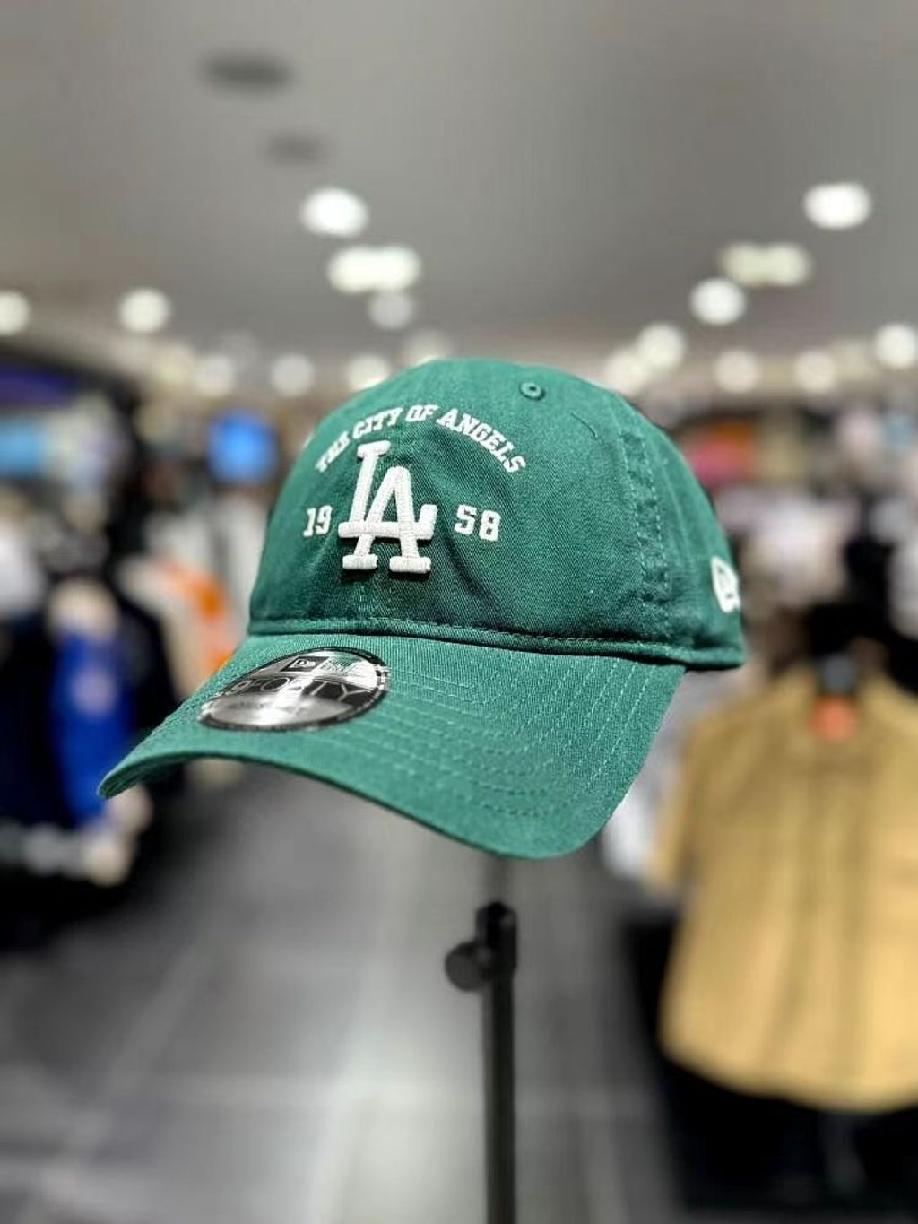 image_1FF5B88F-4742-467D-9076-5F2C7EDF7566_1767526635