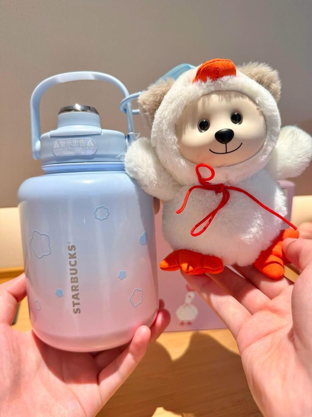 WhatsApp Image 2026-01-05 at 17.23.55