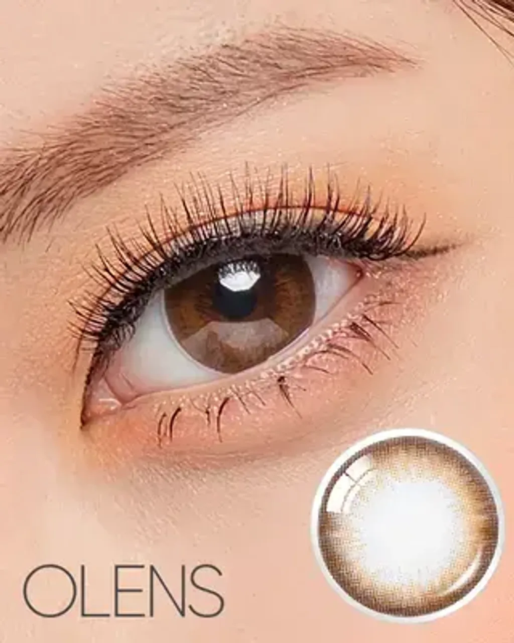 IMG1763n-PL096047864