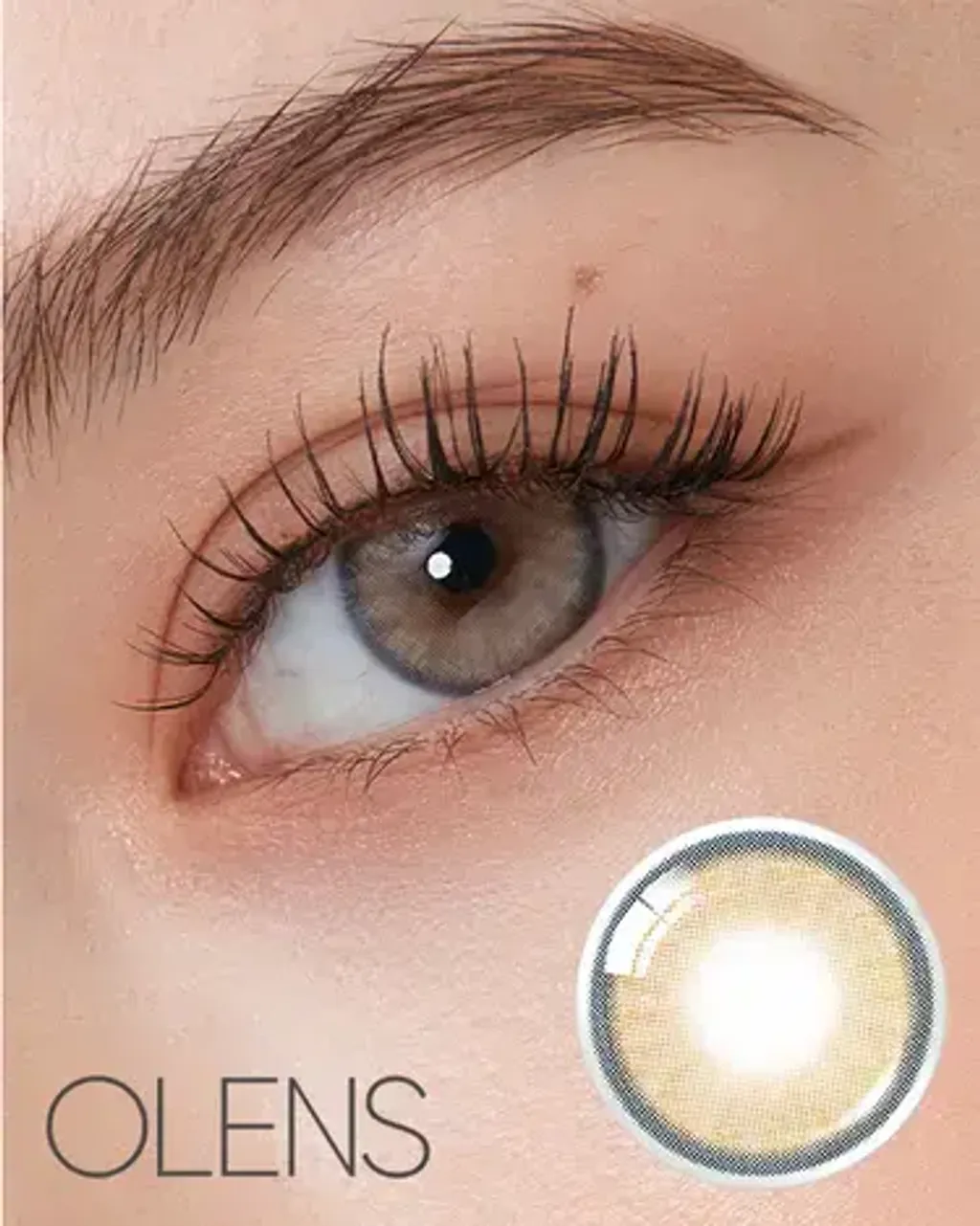 IMG1763v-Kg094384371