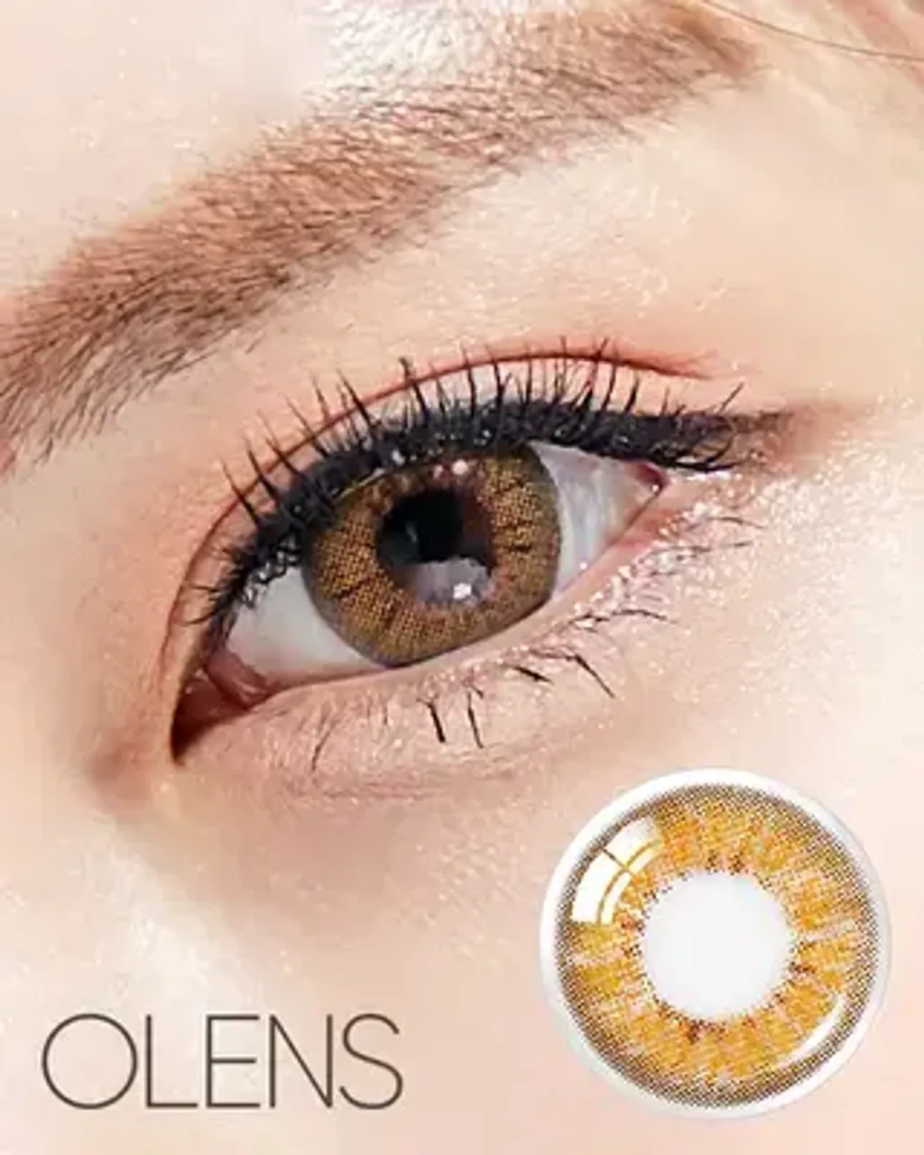 IMG1763v-RM095706417