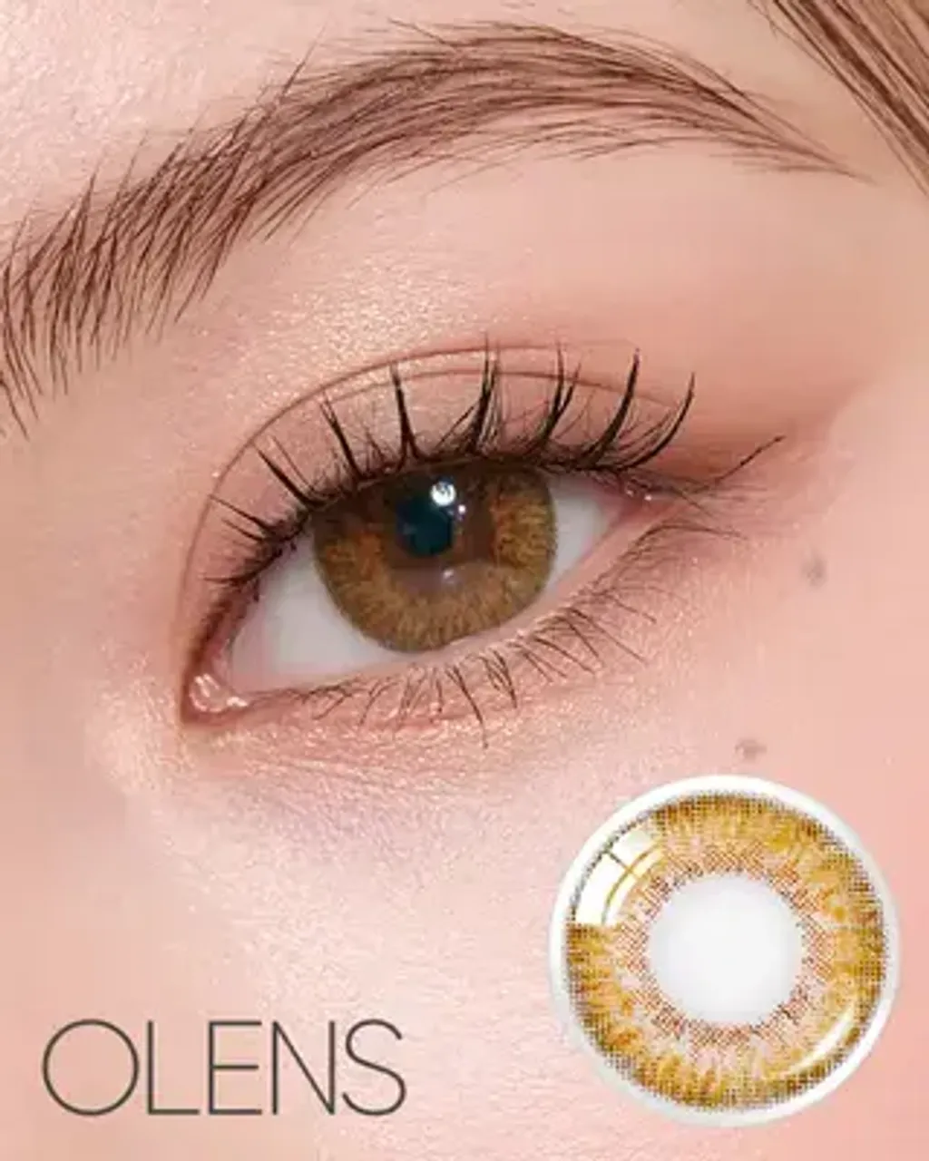 IMG1763Qd-U094131954