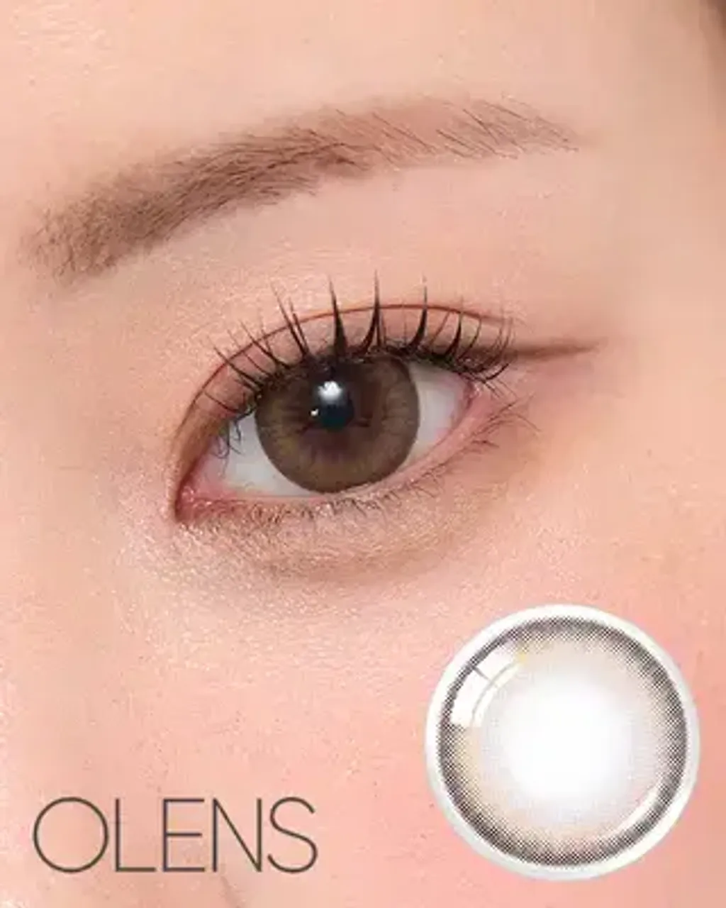 IMG1769Vz-J143661788