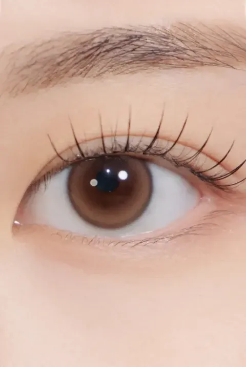 Dewy-Kristin11-8-brown