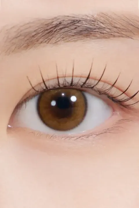 Borntobe-Kristin12-4-brown