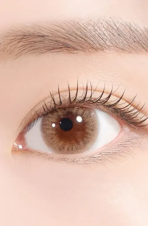 2501df992e9f882de33c503bb6244848-33ad69ed-bebb-46b8-b680-287c240c05ff