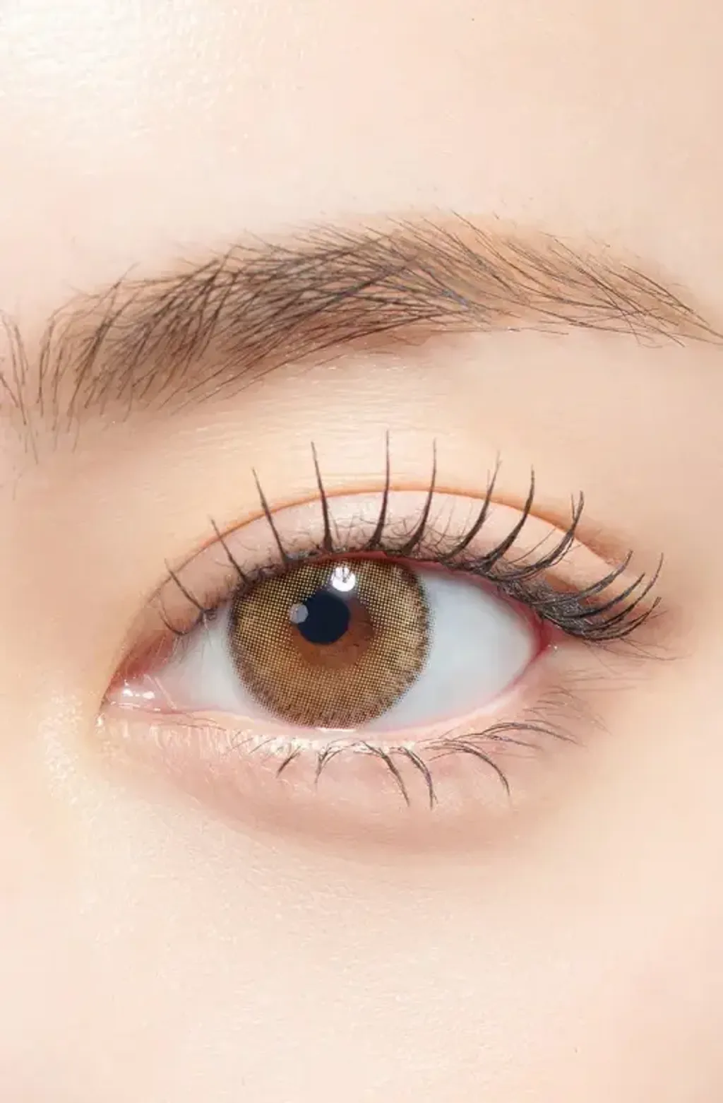 6523fc2bbdadad86d3bf5144e183188c