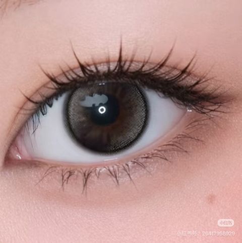 image_4B89101C-FF2D-4500-B8C0-2E4D7A063945_1770524253