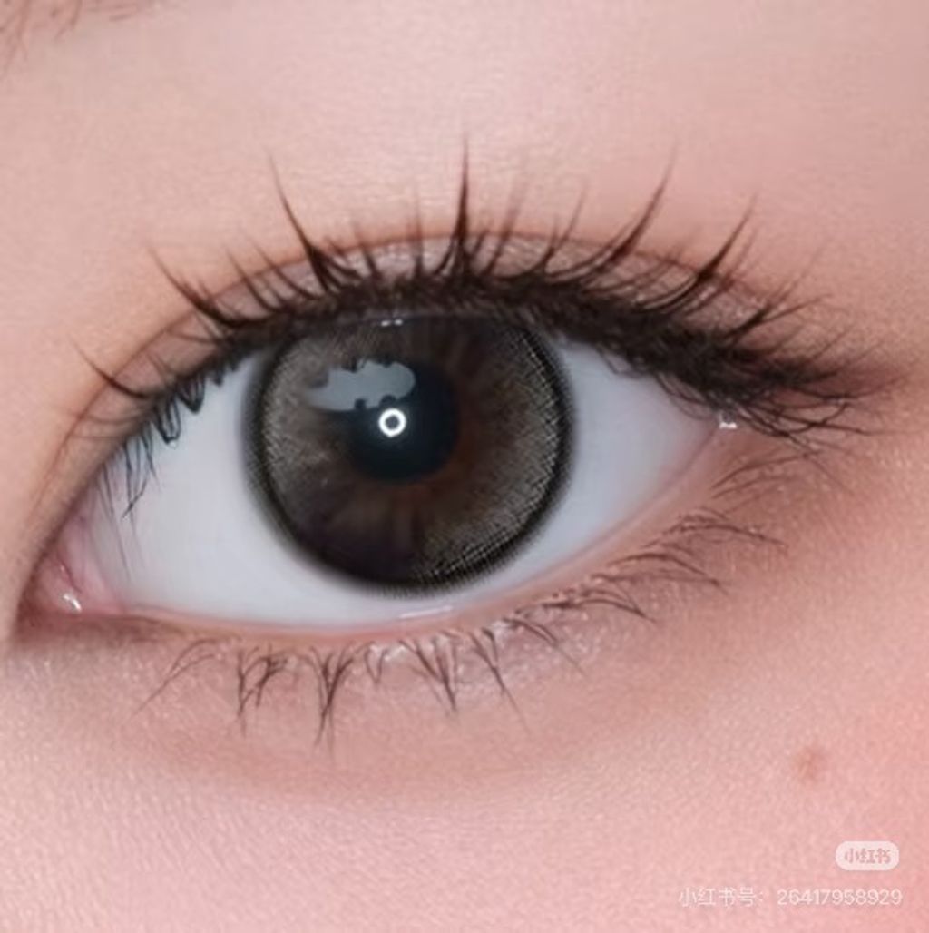 image_34DDF8D2-B3A5-41C3-B852-0911033819B5_1770524332