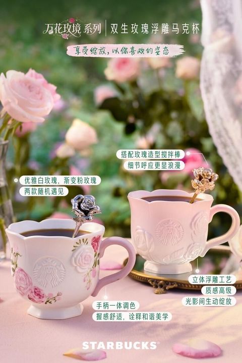 WhatsApp Image 2026-02-25 at 21.28.03