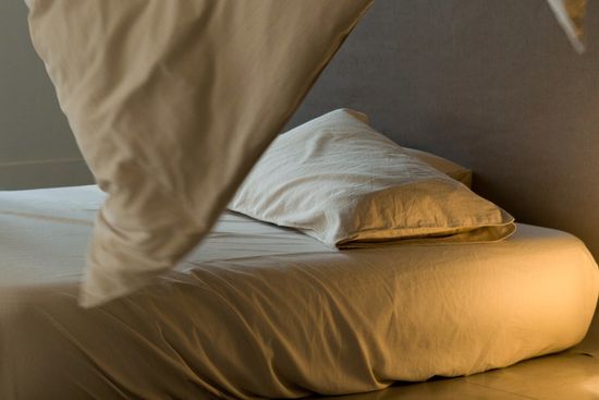 Cotton Linen | Favra