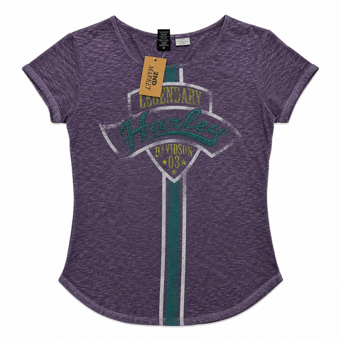16394794_harley_davidson_purple_top_ai