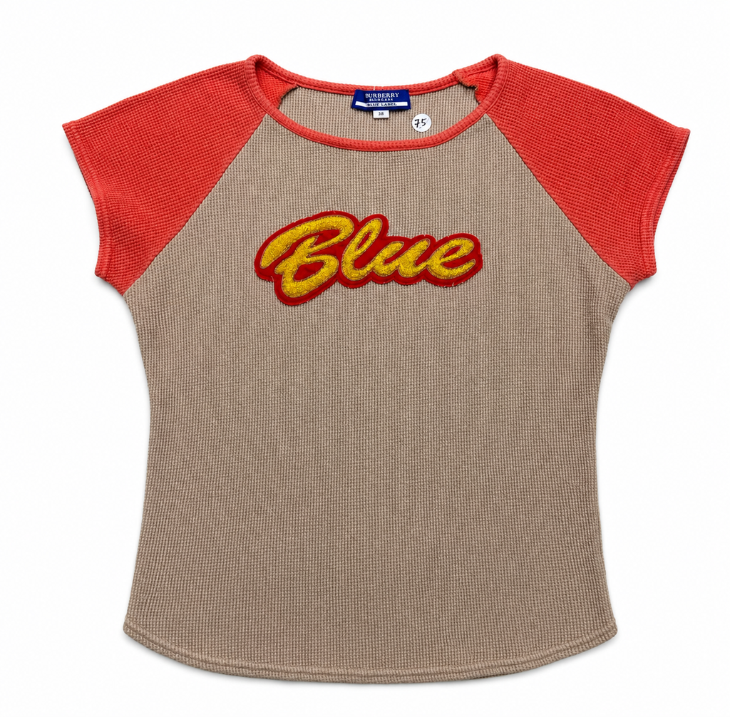 16421880_burberry_blue_tee_ai_arranged