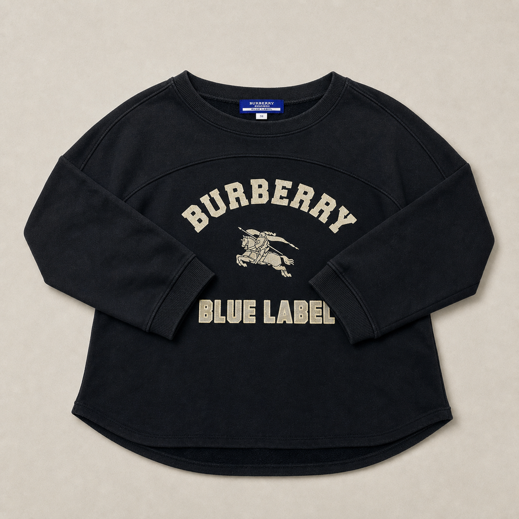 16547586_burberry_blue_label_sweatshirt_ai_vintage_gray_native