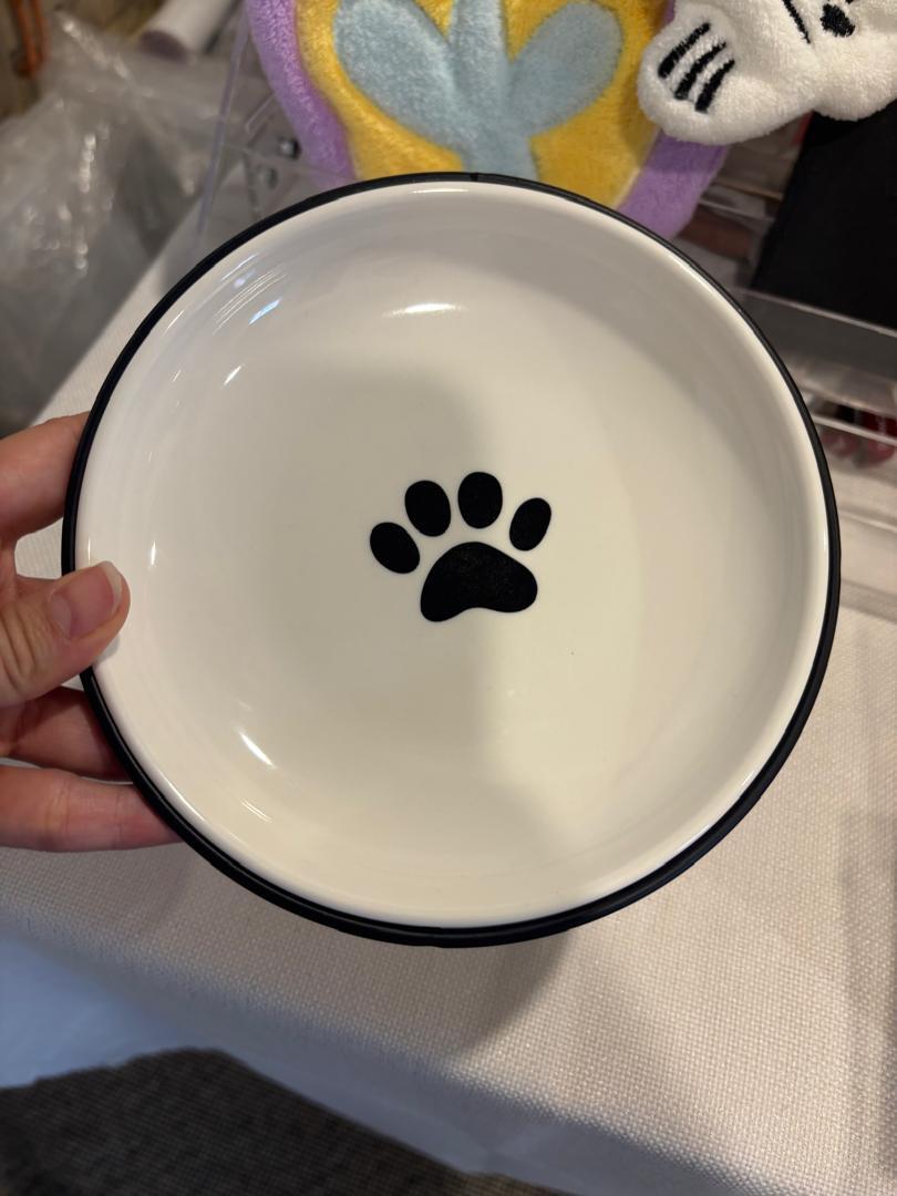 WhatsApp Image 2025-11-13 at 2.31.38 PM