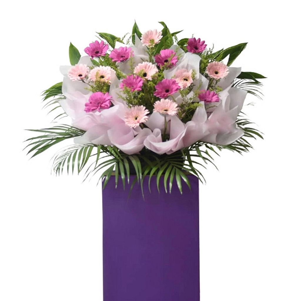 Opening Flower Stand 24