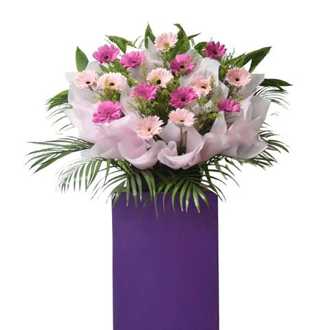 Opening Flower Stand 24