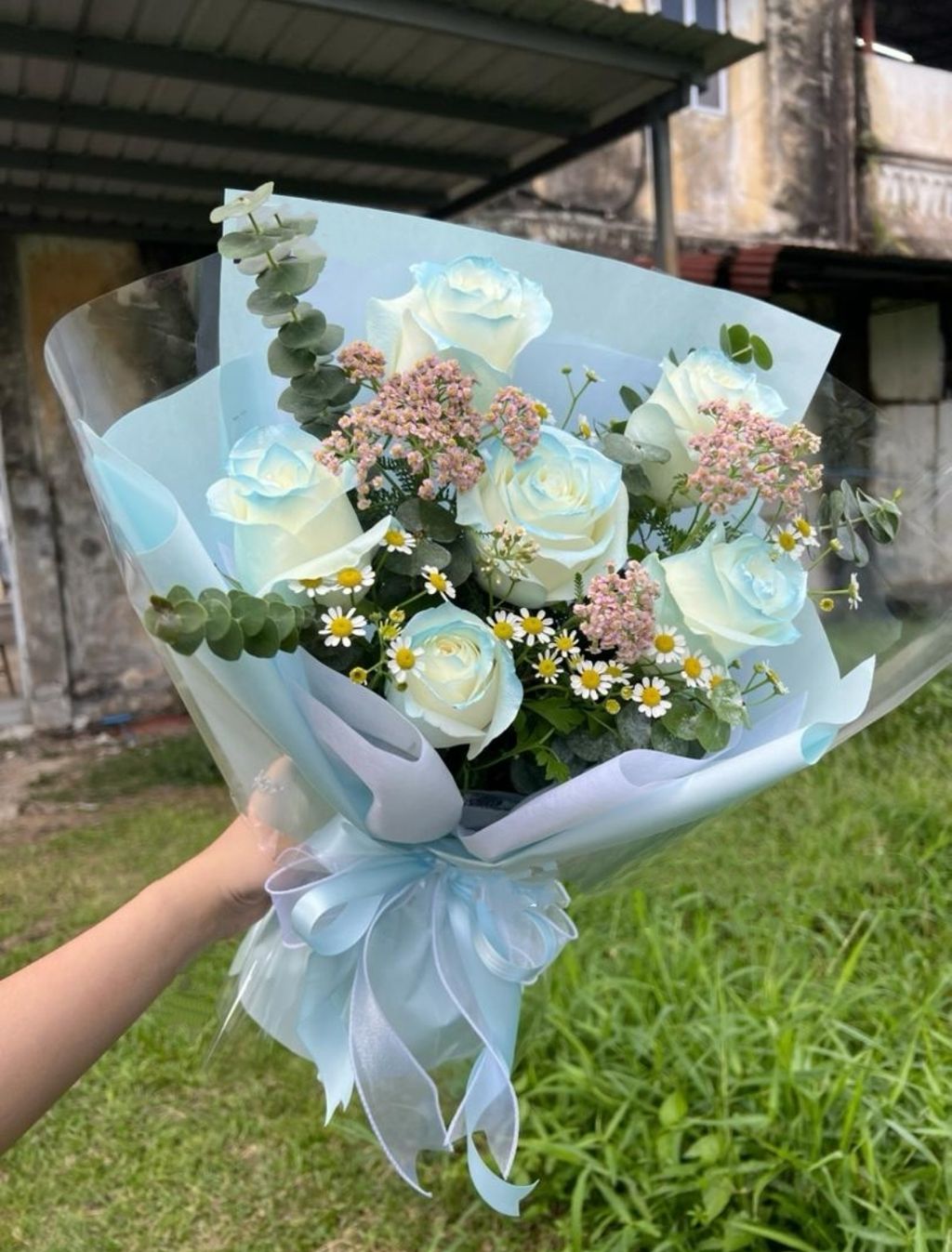 MEITU_20240904_235544368