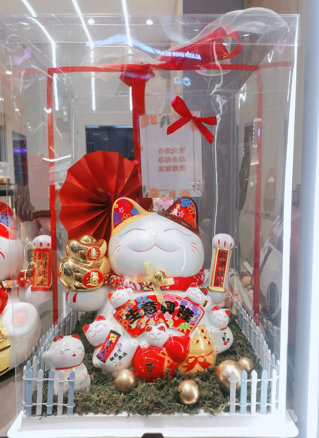 MEITU_20241229_221032719