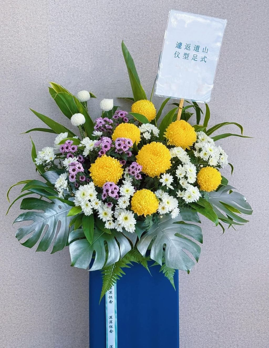 MEITU_20250420_000007407