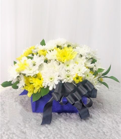 MEITU_20250708_011500024