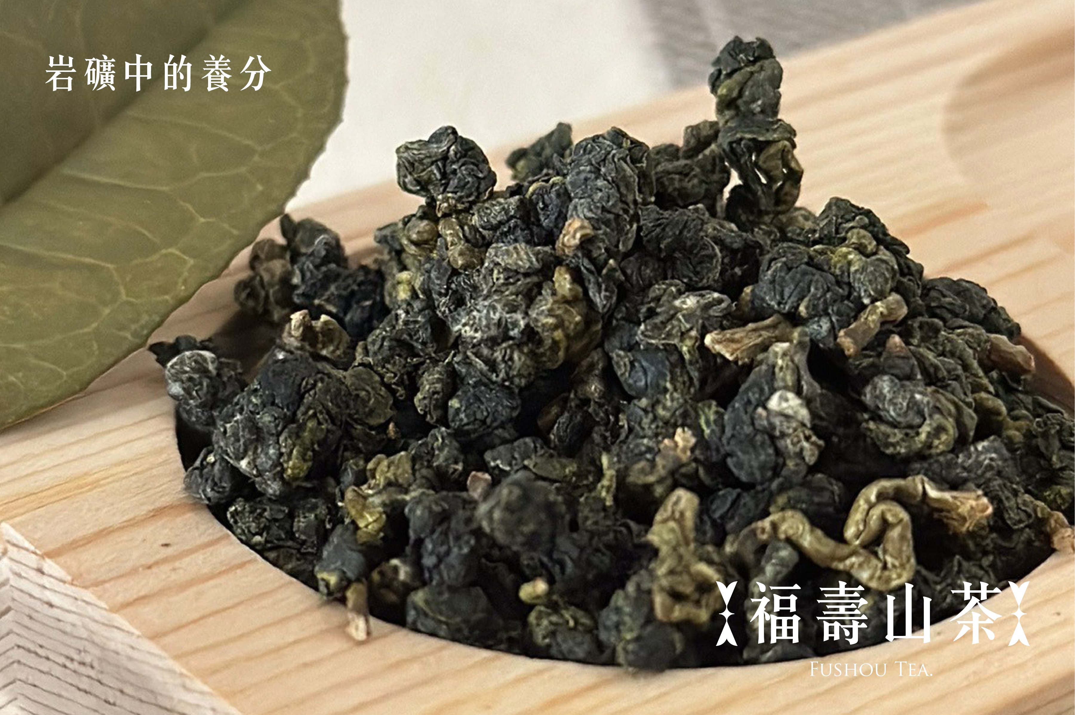 岩礦中的養分｜福壽山茶