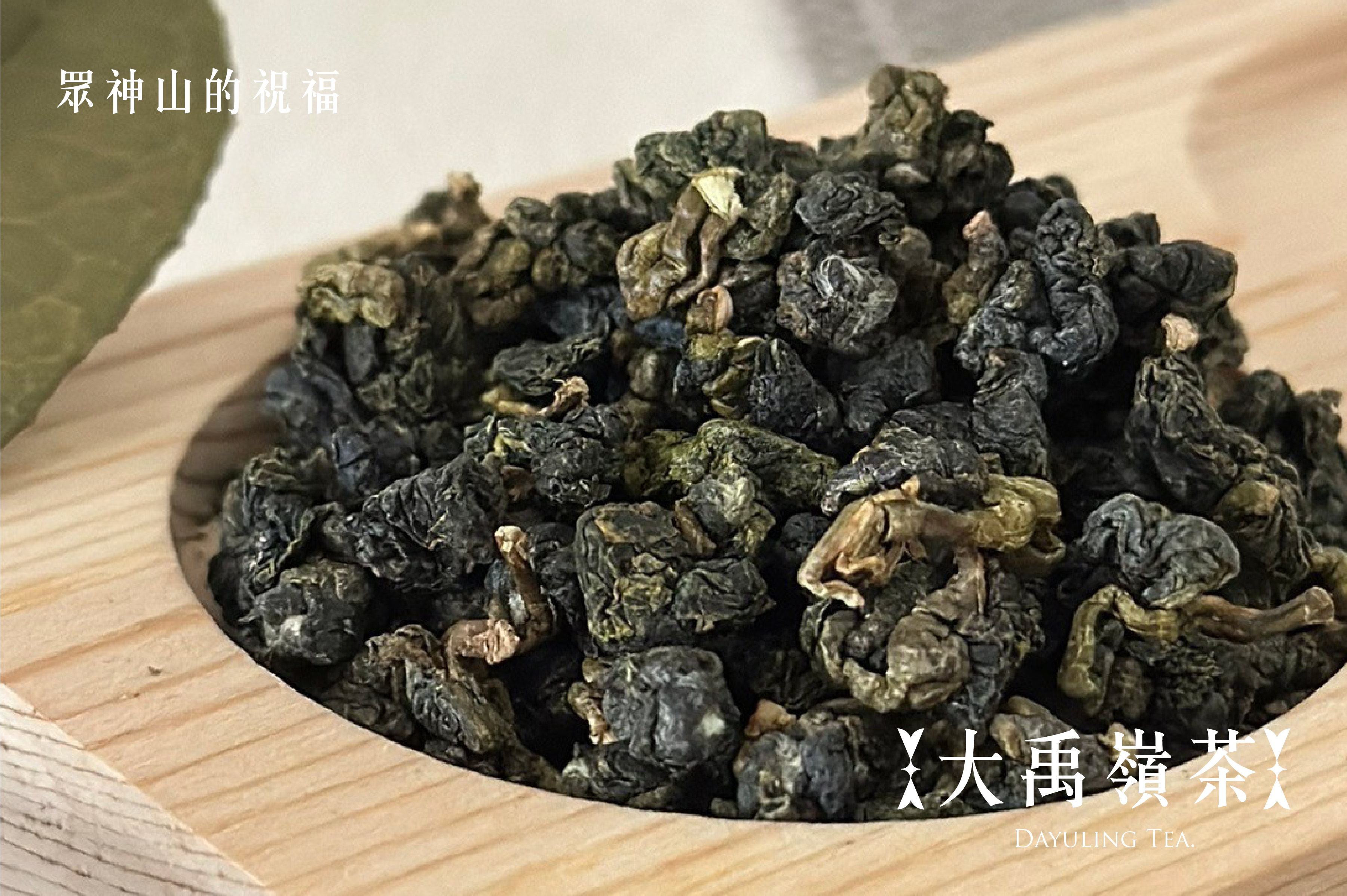 眾神山的祝福｜大禹嶺茶