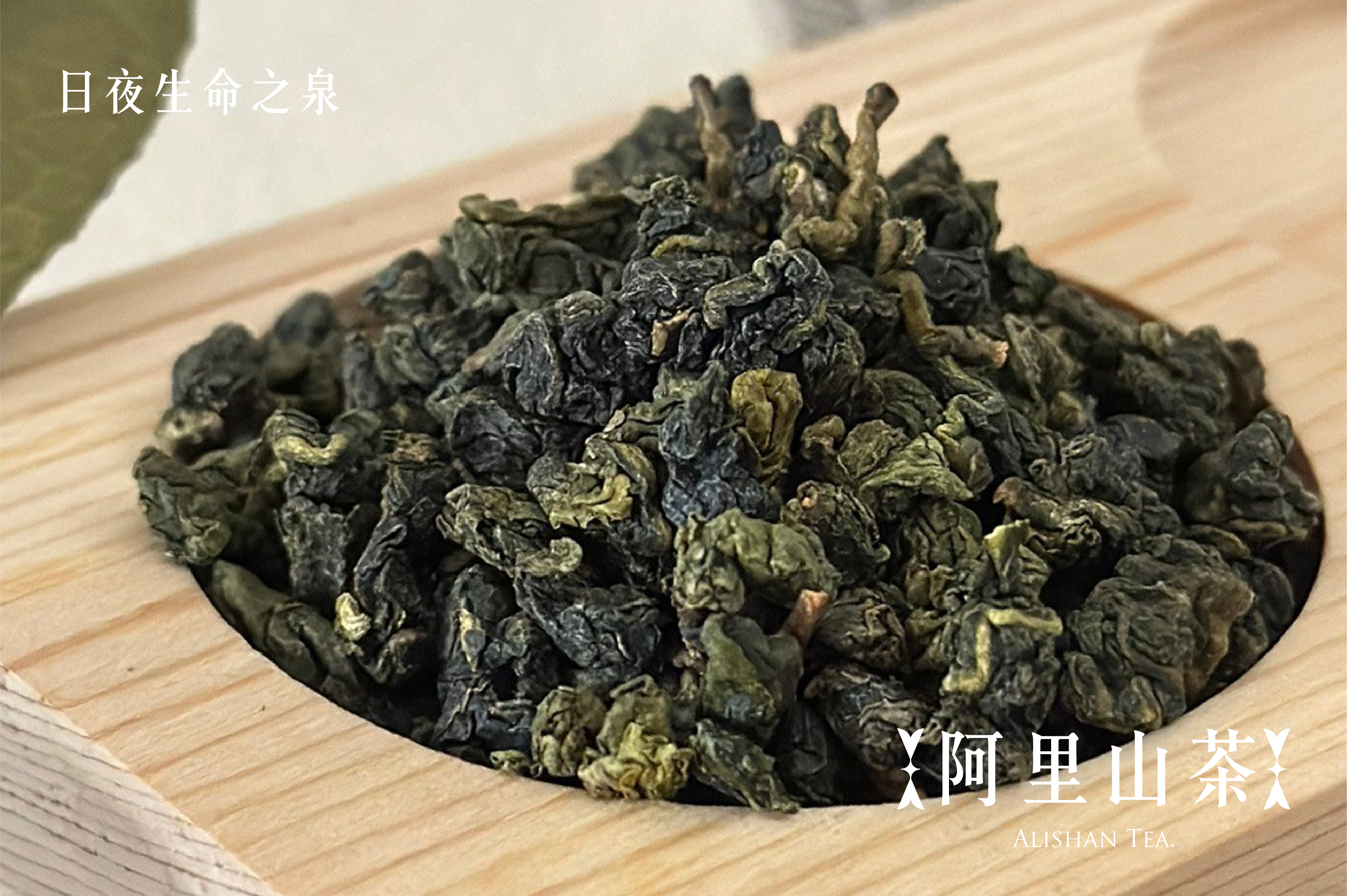 日夜生命之泉｜阿里山茶