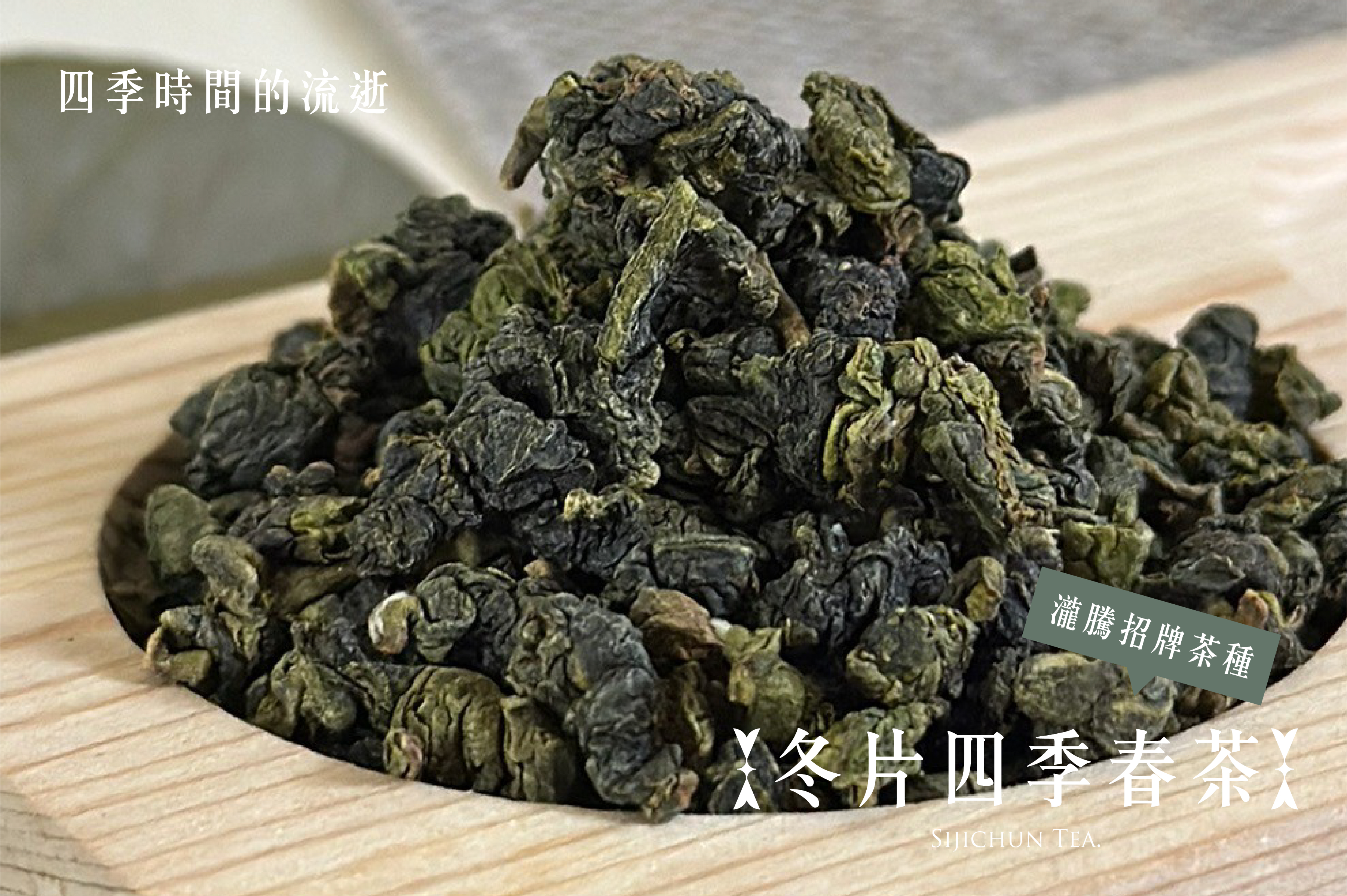 四季時間的流逝｜冬片四季春茶－瀧騰招牌茶種