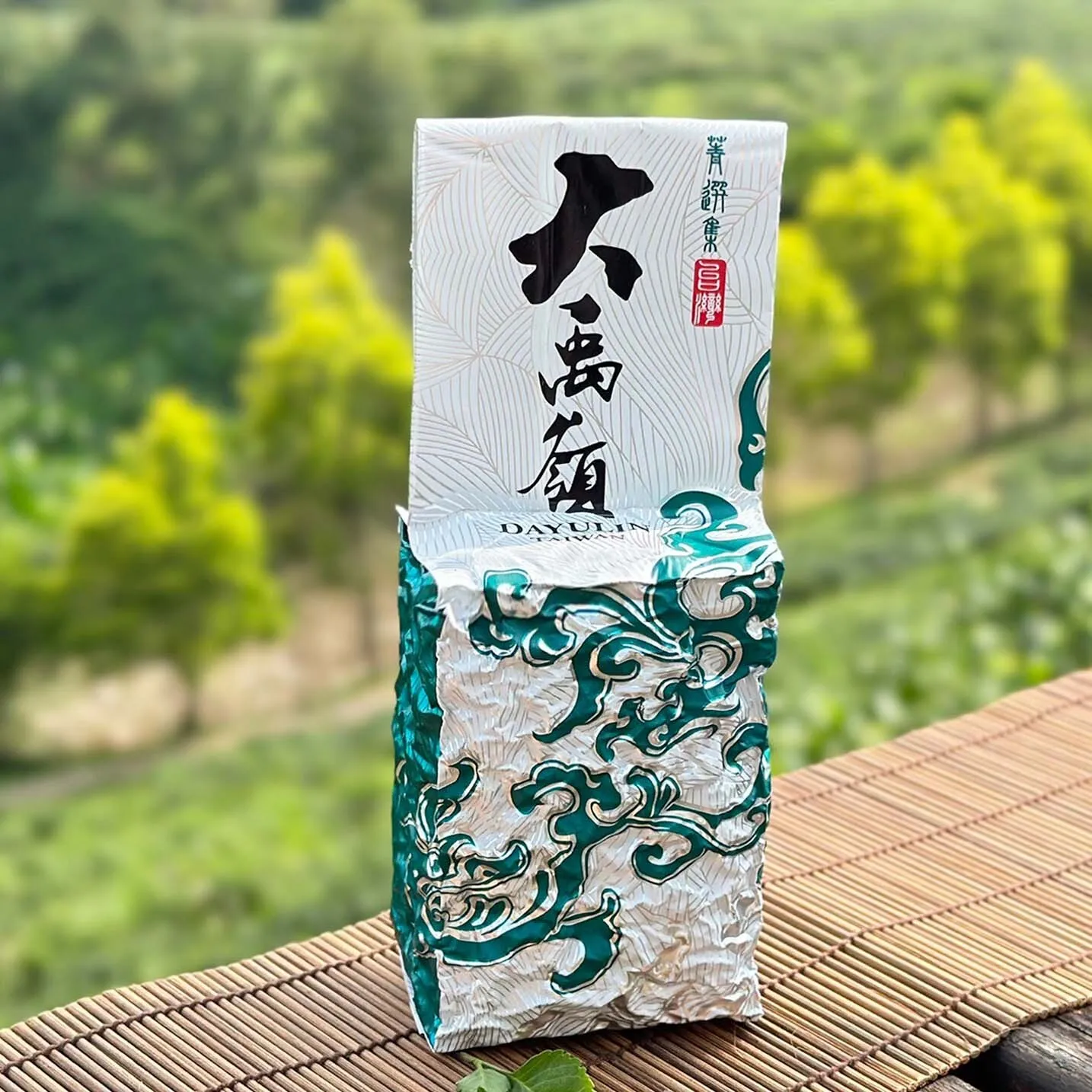 大禹嶺-3