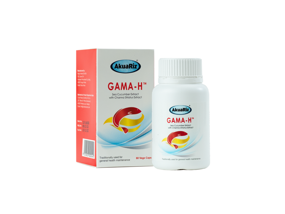 gama h 60s