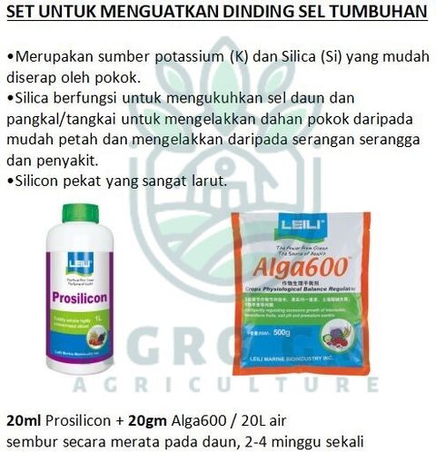 prosilicon cara guna