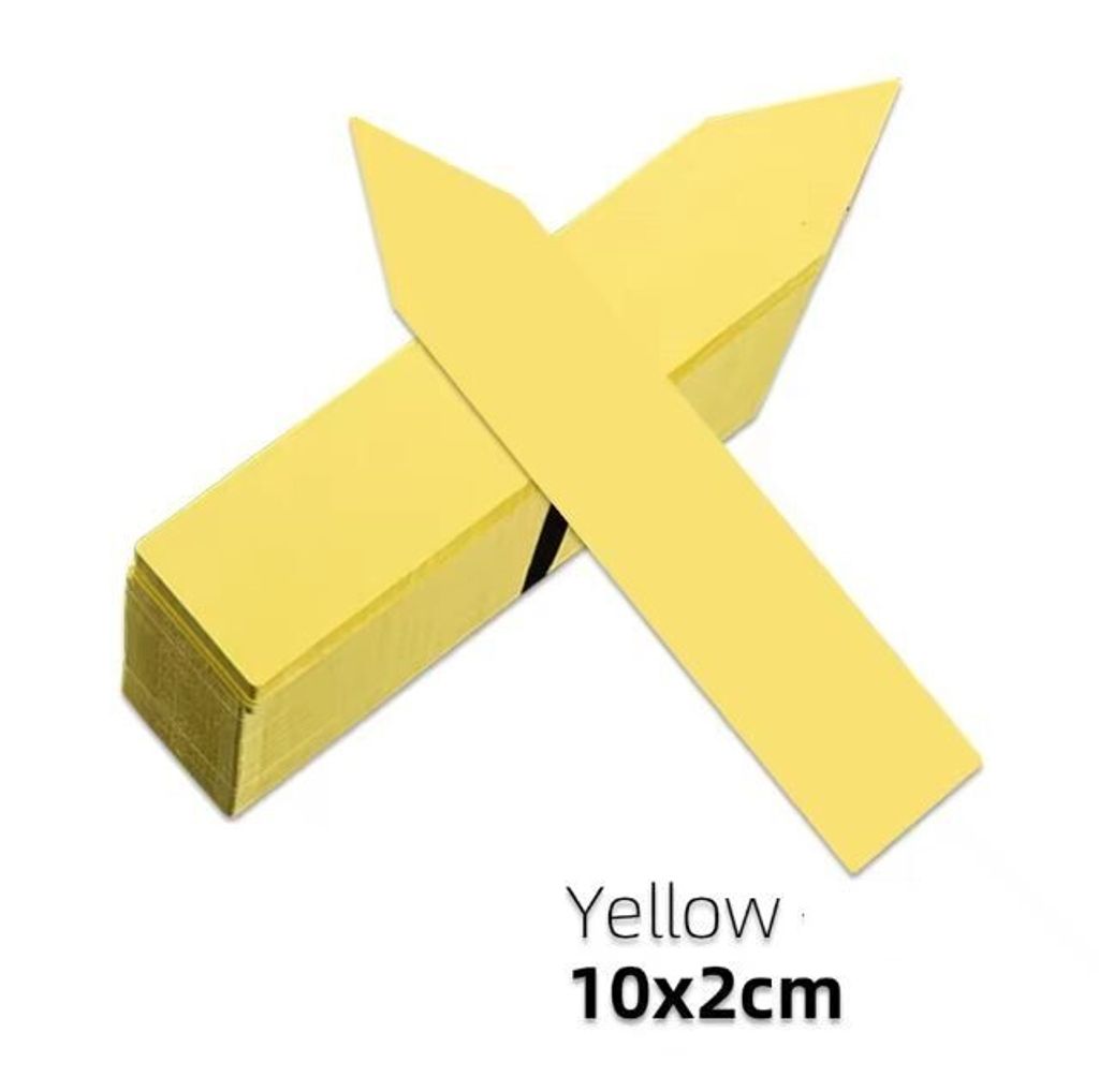 84657018