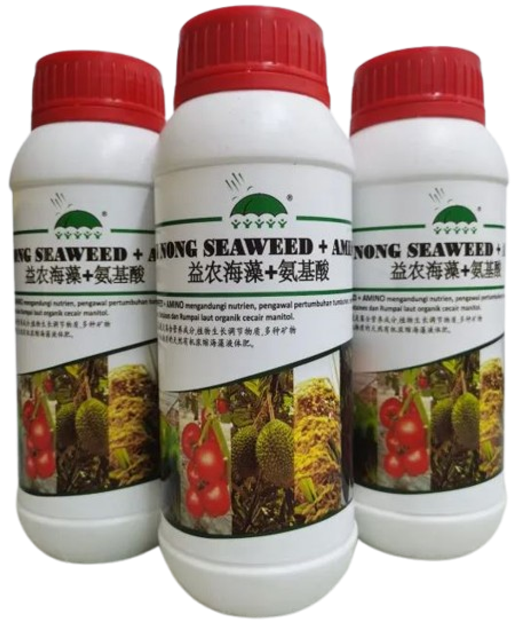 rgwere-removebg-preview