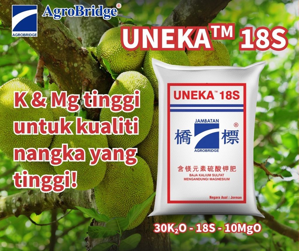 536275862_1347686540697201_3529990949709879763_n