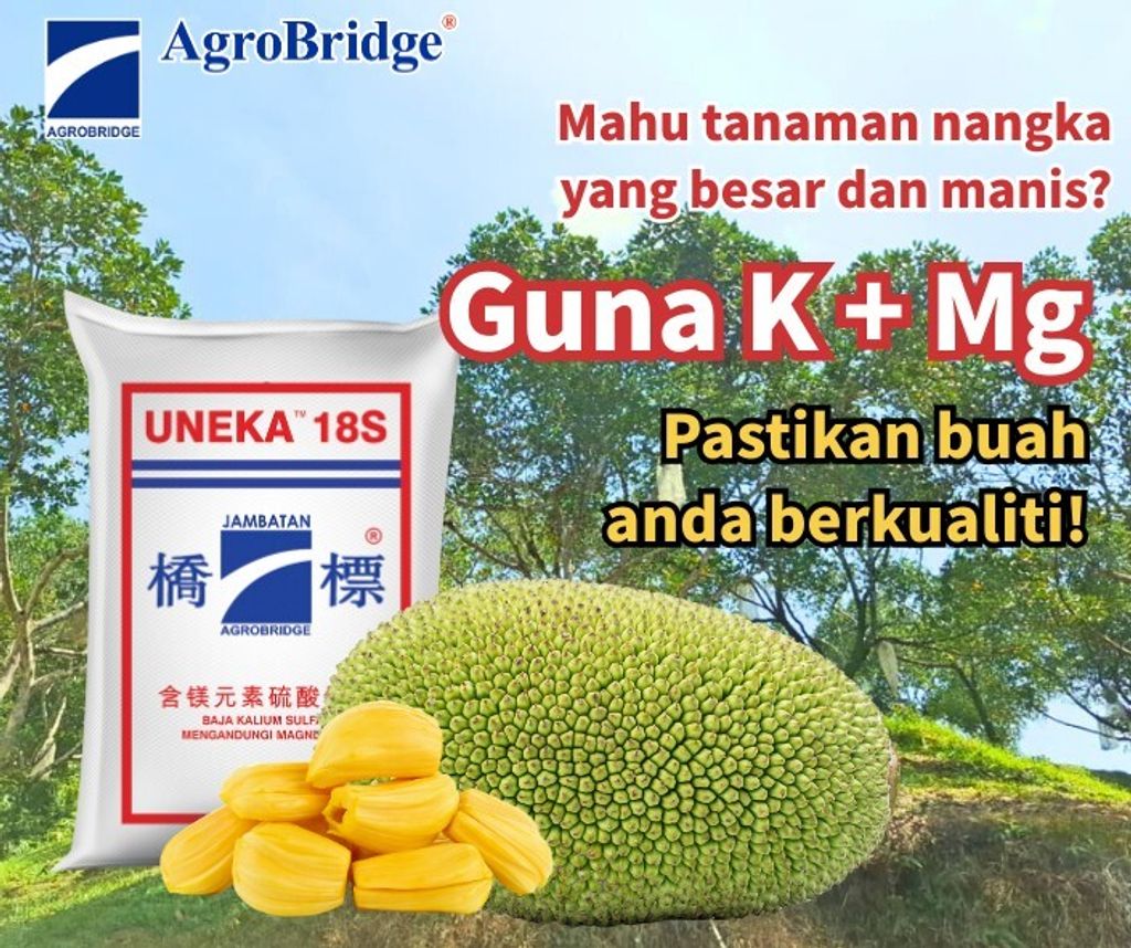 536278154_1347686494030539_226089421884406601_n