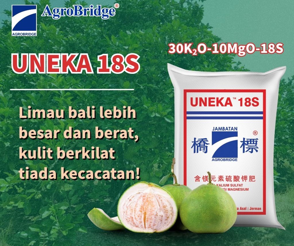 558628834_1392482292884292_2708642177083876666_n