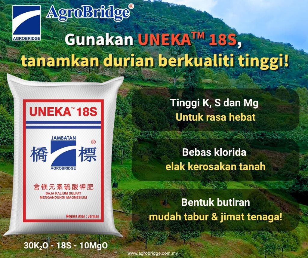 518344346_1316716007127588_6130257704192368914_n