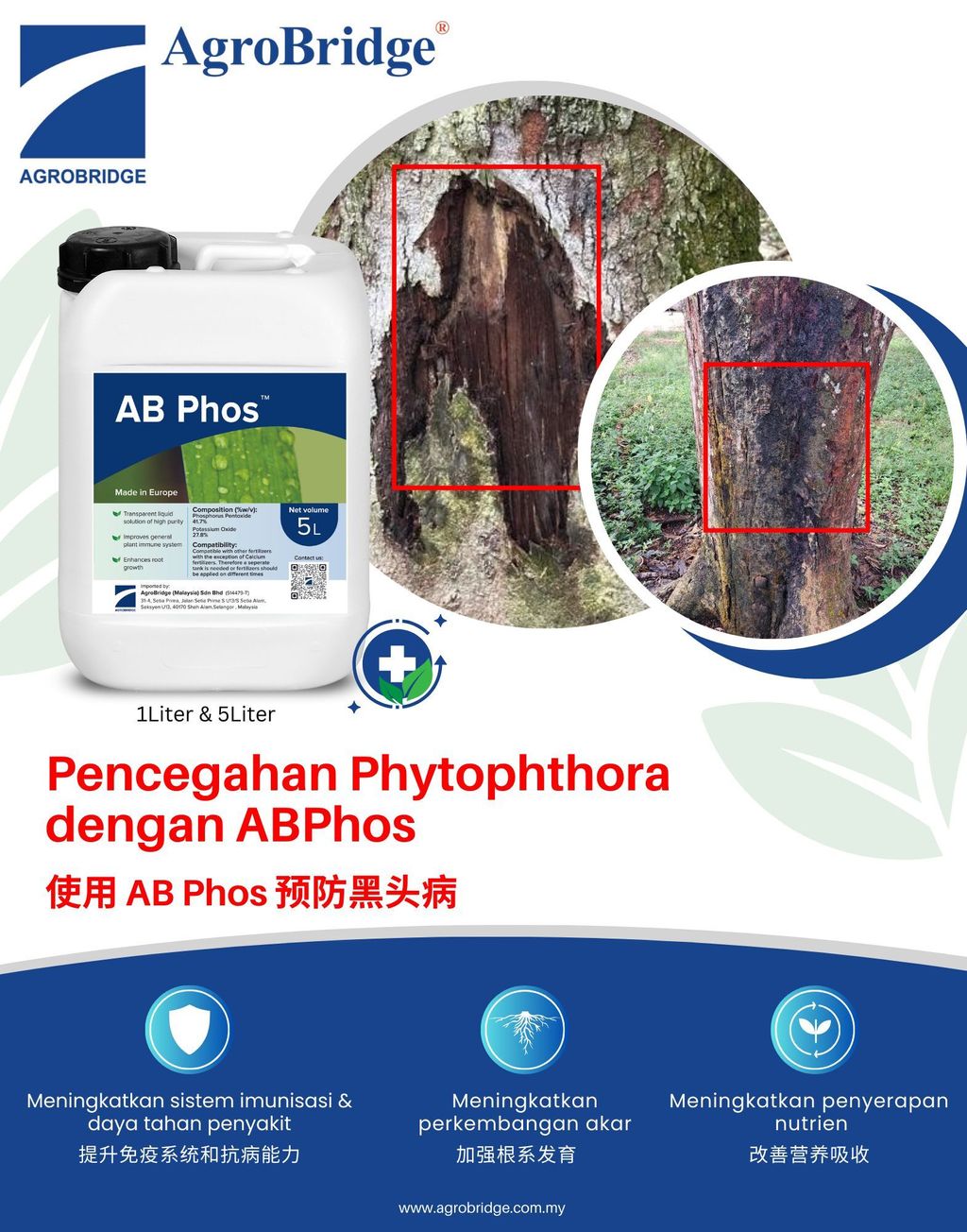 500730589_1266351655497357_5601471153331454632_n