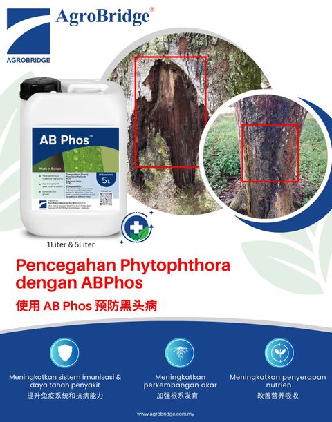 500730589_1266351655497357_5601471153331454632_n