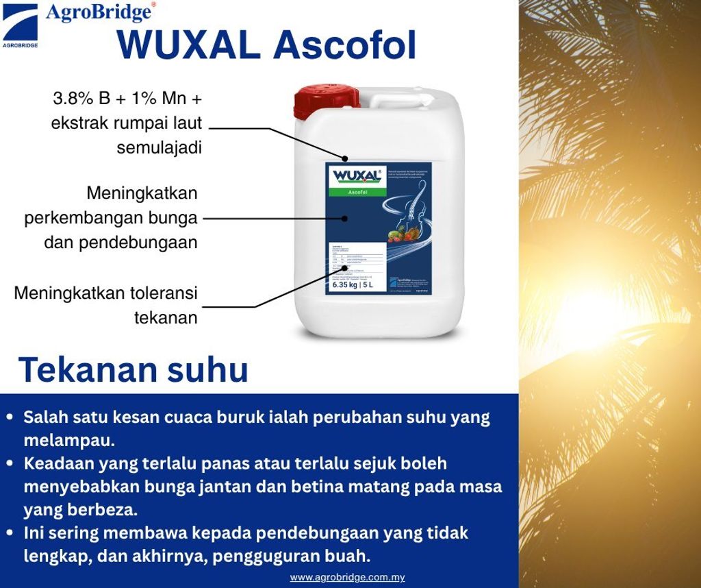 509442320_1295762889222900_1046892381877688652_n