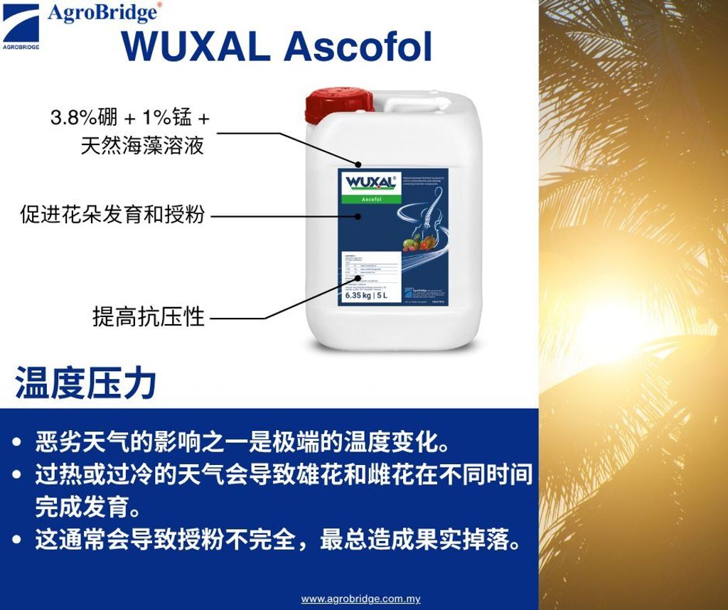 511012906_1295762885889567_6262080693806308959_n