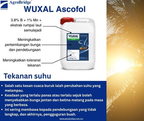 509442320_1295762889222900_1046892381877688652_n