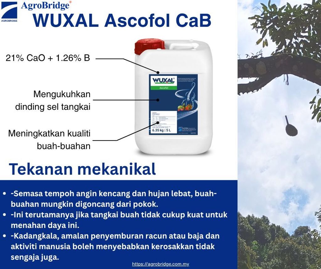 511182409_1296603725805483_4970248953371582315_n