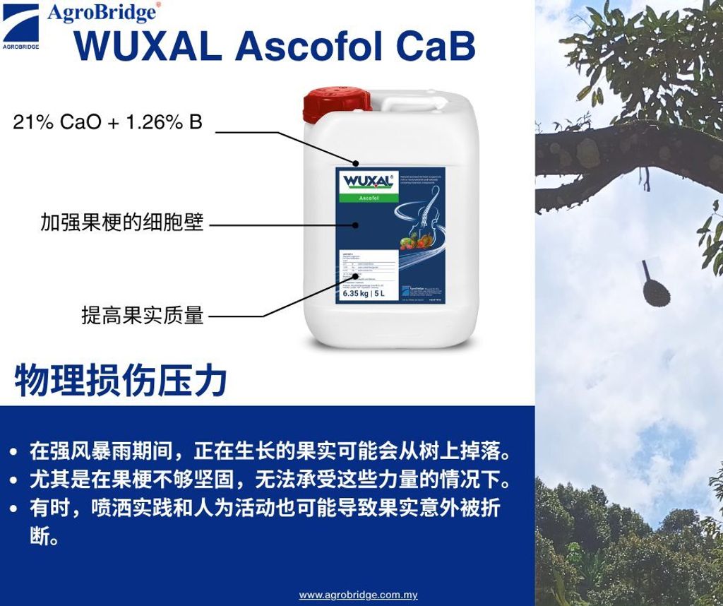 511037148_1296603712472151_7648061632982725601_n