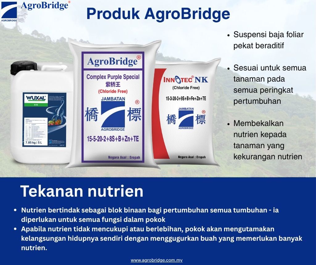 511310350_1294921709307018_8605402322452840050_n